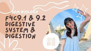 【中文解说】F4C9 DIGESTIVE SYSTEM & DIGESTION