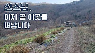 추운 겨울을 보내는 산스님, 이제 곧 이곳을 떠납니다 / 백구와 산스님 / 산스님 힐링 영상