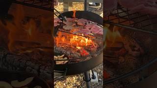 Pork chops and fried apples over the fire @BarebonesLiving ￼