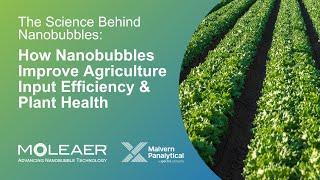 Discovering the Hidden Science of Nanobubbles: Boosting Plant Health and Crop Yield