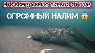 Рыбалка на НАЛИМА+подводная съемка!!! #налим #рыбалка #норильск