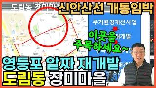 영등포 알짜 재개발 임박 도림동 장미마을  / 신속통합기획재개발 / 신안산선 개통 임박 신도림역 GTX-B까지