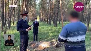 Мясо краснокнижного марала обнаружили в машине егерей в СКО (01.10.21)
