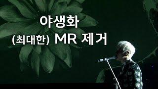 [박효신] 야생화 라이브 (최대한) MR 제거 Park Hyo Shin Live (Isolated Vocal Track)