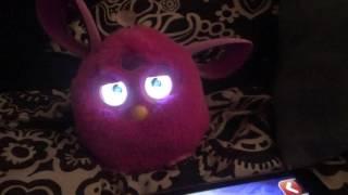 Very creepy furby connect glitch