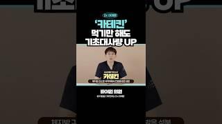 기초대사량 올리는 녹차 성분, 카테킨 들어봤어? #다이어트보조제 #다이어트약 #카테킨