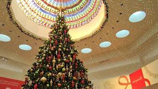 Luxury mall and Christmas decorations in Costa Mesa, California 11.30.24