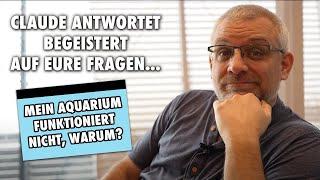 Claude answers your questions enthusiastically - Q&A