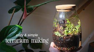 let's make a terrarium | plant shopping & easy diy