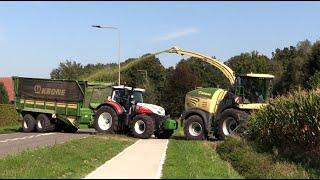 Maïs 2024 | 3x Steyr tractors met Krone TX460 silagewagen | Krone 630 | Munsters | Maize harvest