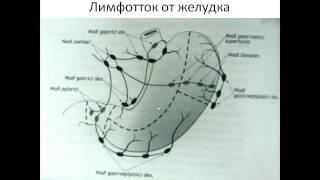 Лимфоотток от органов