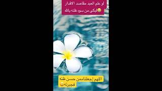 الجنه ثمنها حسن الظن بالله #الجنة #الله #islam #quran #islamic #allah #follow #like #nature #fyp #رب