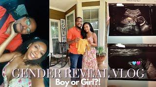 Gender Reveal Ultrasound Vlog! | Boy or Girl?