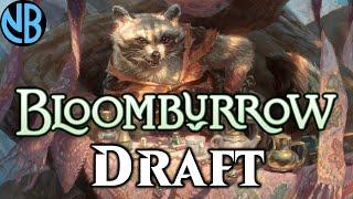 I LOVE BLOOMBURROW DRAFT!!!