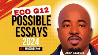 Possible Essays 2024 | Economics Grade 12 by Carden Madzokere TDBS