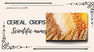 Cereal crops |  scientific names