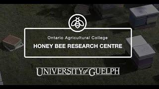 Honey Bee Research Centre Virtual Tour