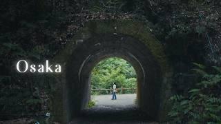 Quiet side of Osaka  Forest bathing in Minoh Park #shinrinyoku | Japan Vlog