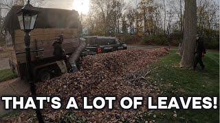 4 Man Crew Handling Massive Leaf Piles with Ease!