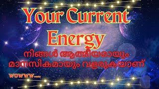 പുതിയ തുടക്കങ്ങൾ നിങ്ങളെ കാത്തിരിക്കുന്നു തയ്യാറായിരിക്കുക#tarot #malayalamtarot #tarotreading