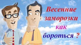 Весенние заморозки как бороться