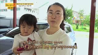 카센터, 엔진오일 교환, 브레이크패드 교환, 브라운가스 5만원