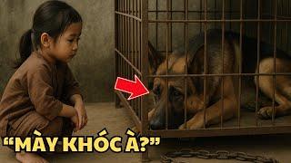 Chú chó nghiệp vụ bị bỏ rơi & bé gái 6 tuổi – Phép màu bắt đầu từ một lời hứa