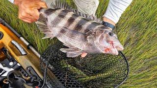 Old Man & The Sea (Monster Sheepshead Fishing)