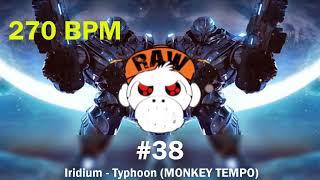 Iridium - Typhoon (TERROR) [270 BPM MONKEY TEMPO] (short version)