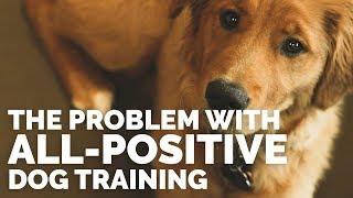 The Problem with All-Positive Dog Training