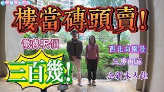 重大喜報！！樓房當磚頭賣 尺價僅需300幾|十里銀灘二期山林海 三房兩廳一衛 西北向園景|全新未入住 價平房新