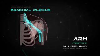 Locating and Treating Brachial Plexus - Stimpod NMS460