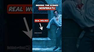 3 Behind The Scenes Facts About NOSFERATU‼️
