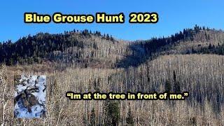 Blue Grouse 2023