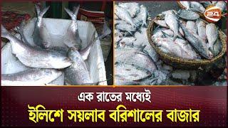 বাজারে ইলিশ মাছ আসায় দাম কমেছে অন্য মাছ গুলোর | Ilish Bazar | Barisal | Channel 24