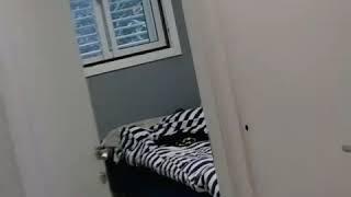 דלת פנים נוספת לדלת ממ"ד