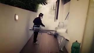 Mosquito Treatment Singapore