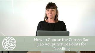 How to Choose the Correct San Jiao Acupoints for Needling | Mini-lesson with Dr. Martha Lucas