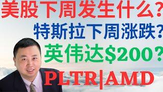 美股914|美股下周发生什么?PLTR涨到50?英伟达涨到200?特斯拉下周暴跌暴涨?AMD下周会涨吗? #AMD #PLTR #TSLA #NVDA #美股分析 #drmikeinvest