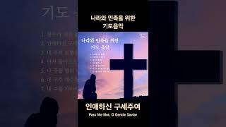 나라와 민족을 위한 기도음악 #인애하신구세주여 #기도음악 #수연ccm #기도하며듣는찬양 #shorts