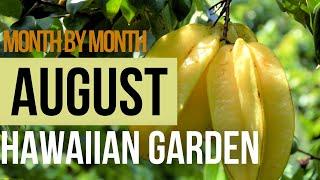 Itʻs August!  What Are You Doing In The Hawaiian Garden?