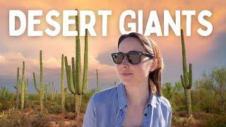 ARIZONA SURPRISED US! Best Day at Saguaro National Park + Tucson