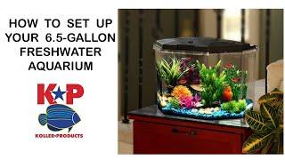 HOW TO SET UP YOUR FRESHWATER AQUARIUM - 6.5 GALLON