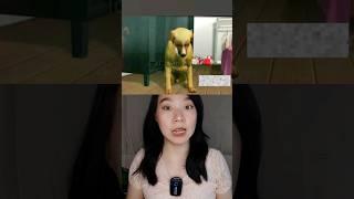 GAK NYANGKA ISI DALAM TAIK ANJING INI !! | Weni Noto #shorts