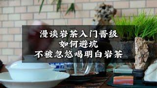 漫談岩茶入門晉級如何避坑不被忽悠喝明白岩茶