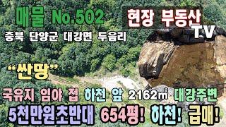 싼땅 5천만원초반대 국유지 임야 접 하천 접 2162㎡ 654평 대강면주변 사인암 주변 자연인 땅 충북 단양군 대강면 두음리 토지 매매 도로 정비 하천 정비 단양부동산 대강부동산