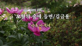 오월의 숲에 들면/김금용  (낭송:마숙영)  영상:세인트/송성인