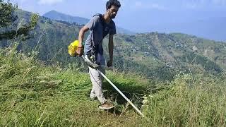 grass cutting machine (brush cutter)@ajjubawapahadi1411 @himachalwalaa