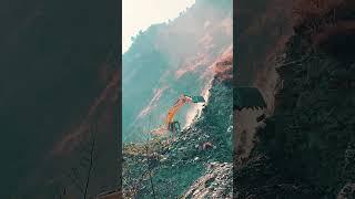 Building Riskiest Mountain Road