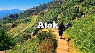 Atok, Benguet